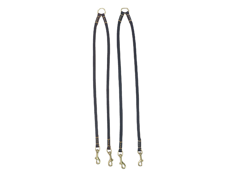How to choose a suitable leash for your dog