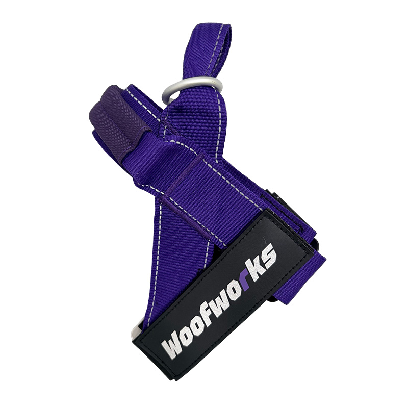 Tri couleur tissé ceinture poitrine et dos