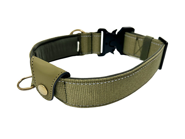 Correctly use dog collars and avoid these common misconceptions