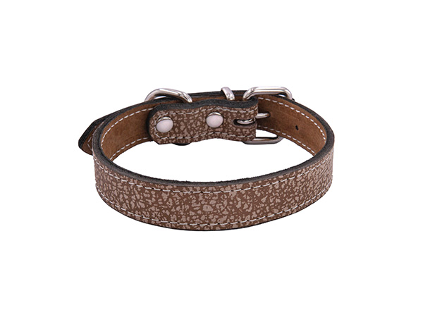 Compétences d'assortiment de collier pour chien, équilibrer praticité et esthétique