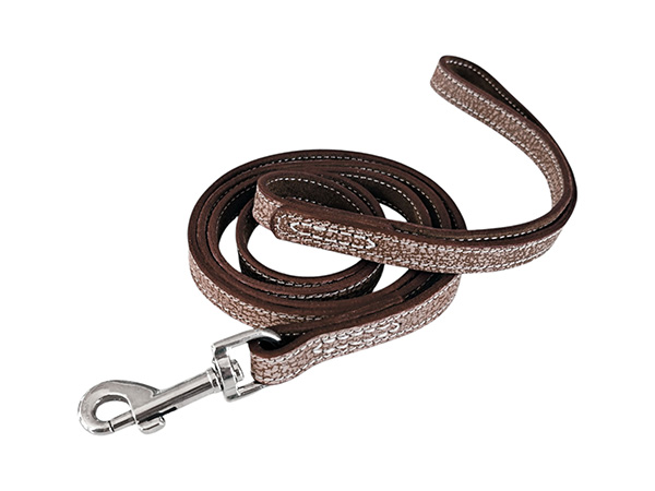Guide pour le nettoyage et l'entretien des colliers de chien