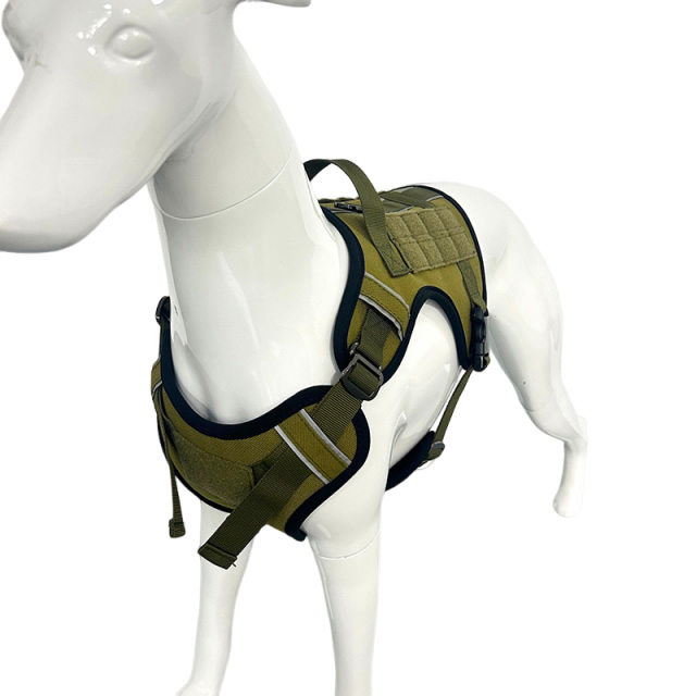 Tactical chest and back
