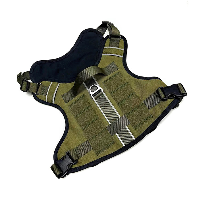 Tactical chest and back