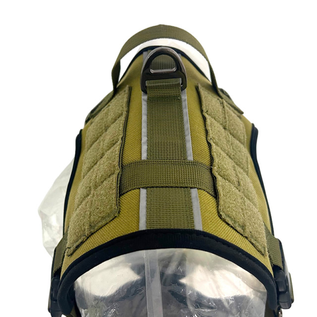 Tactical chest and back