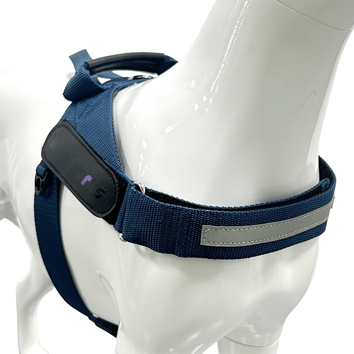 Lightweight line chest and back