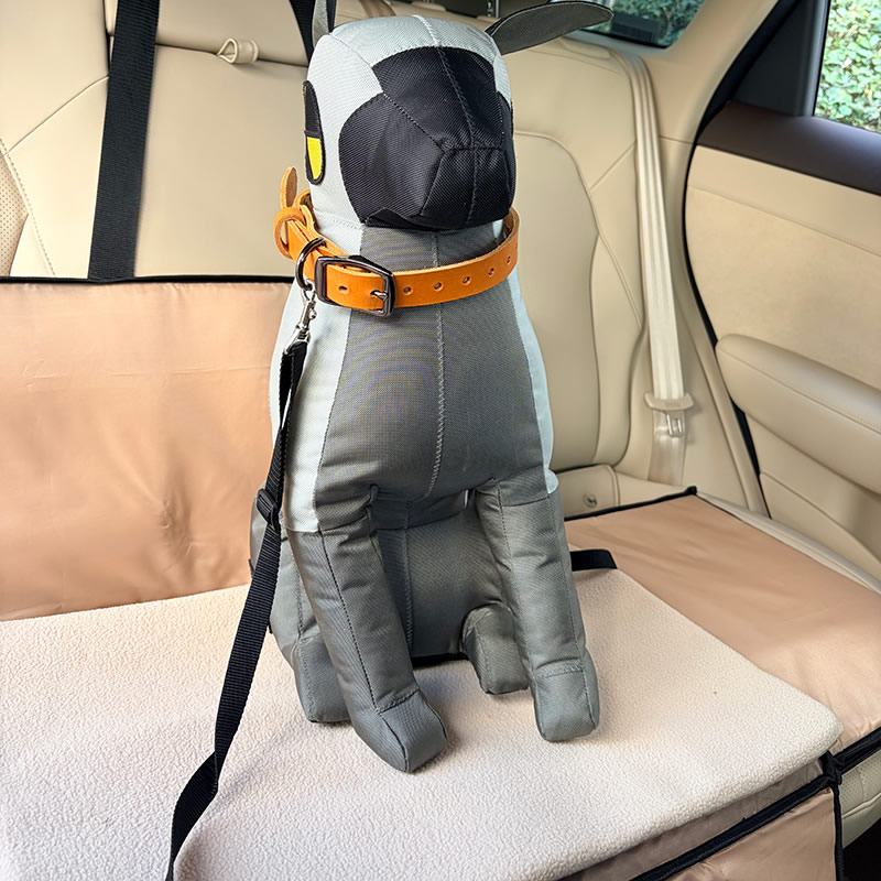 Car Dog Mat with Gear Shift Cover