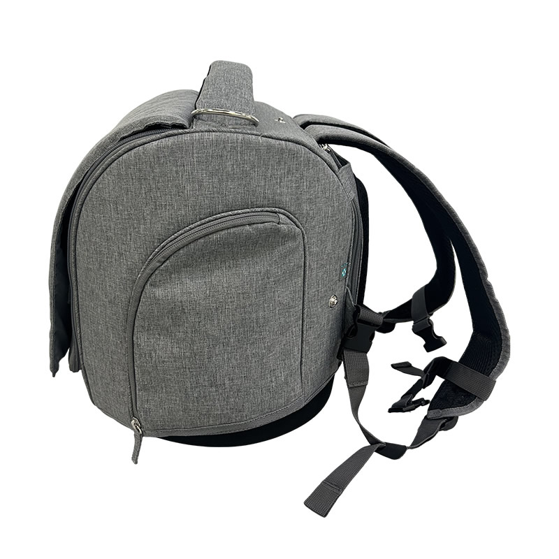 Multi functional pet carrier