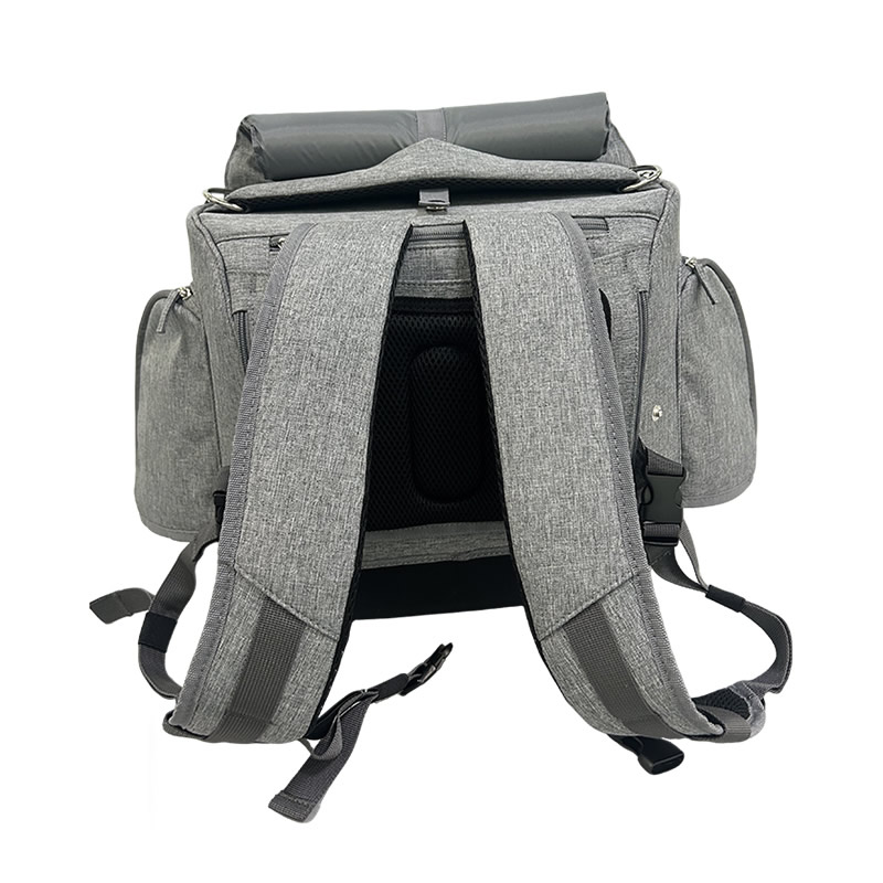Multi functional pet carrier