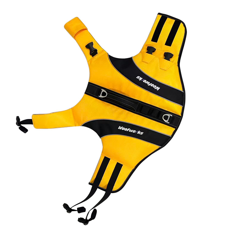 Life jacket D