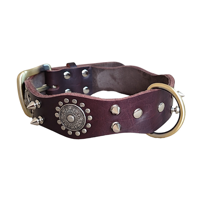 Bulldog rivet collar