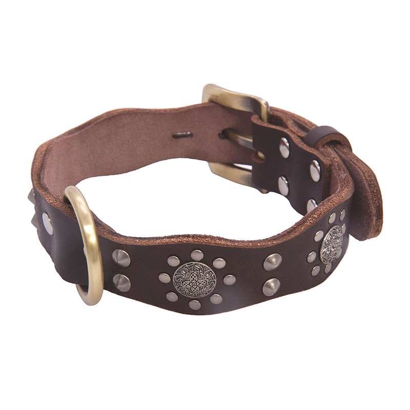 Bulldog rivet collar