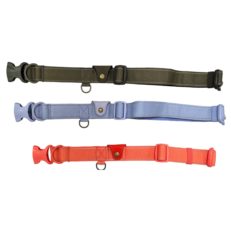 5-color collar with GPS locator bag