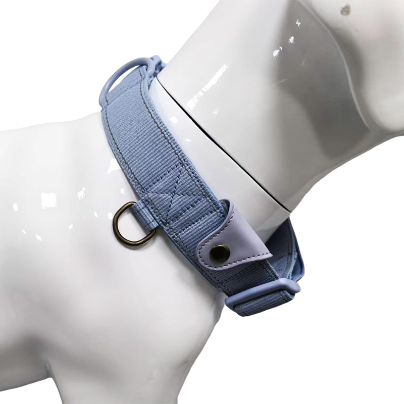 5-color collar with GPS locator bag