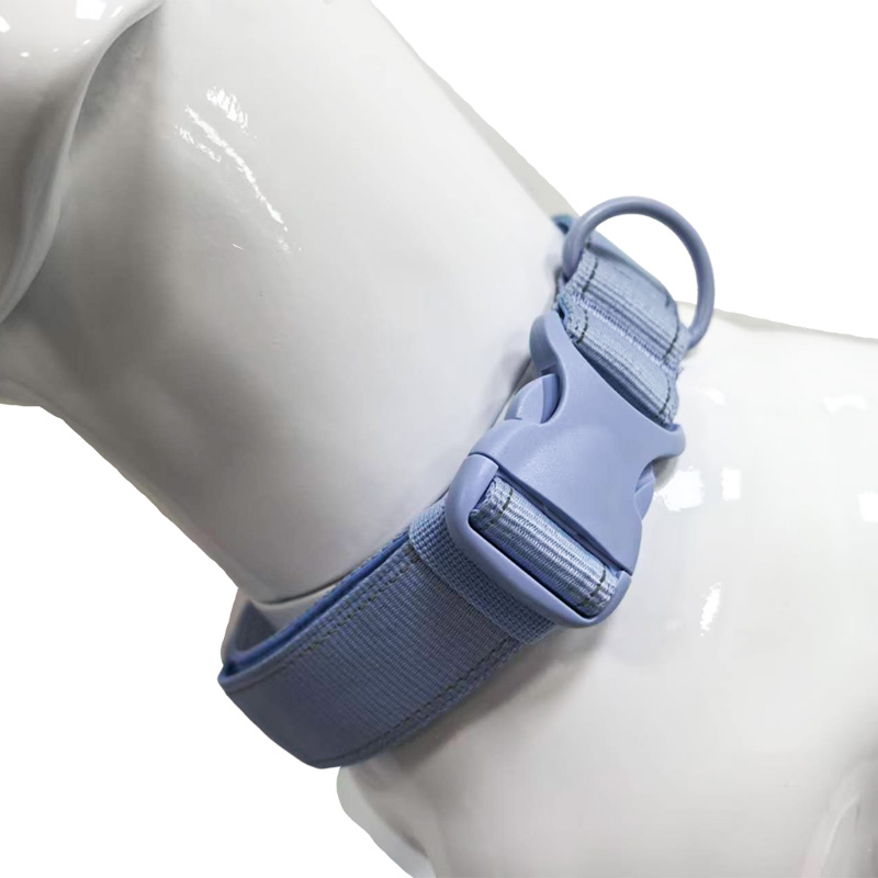 5-color collar with GPS locator bag