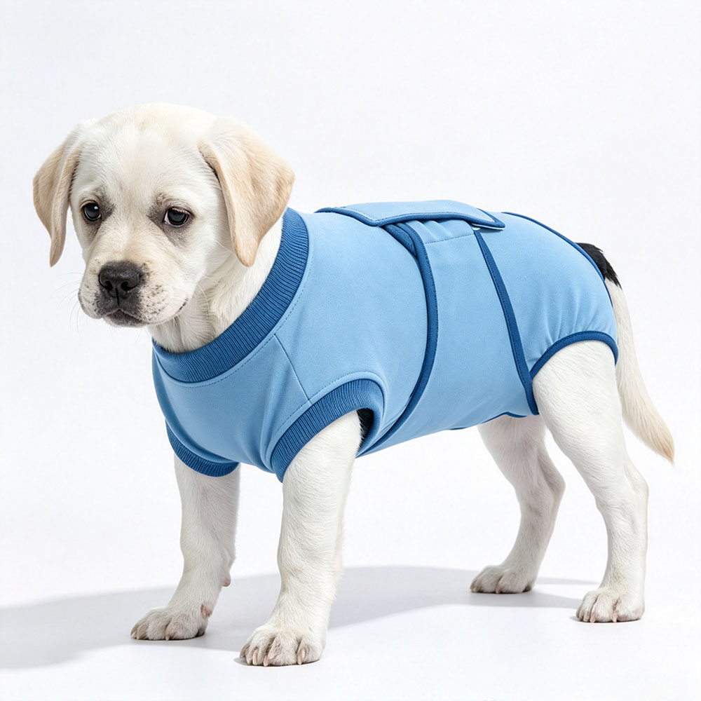 OEM+ODM Dog care suit highly elastic, breathable, anti-scratching. Suitable for post-surgery recovery, neutering and weaning