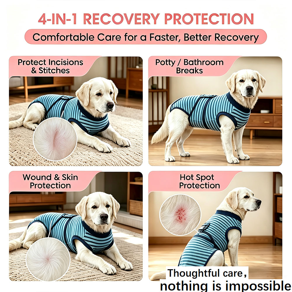 OEM+ODM Dog care suit highly elastic, breathable, anti-scratching. Suitable for post-surgery recovery, neutering and weaning