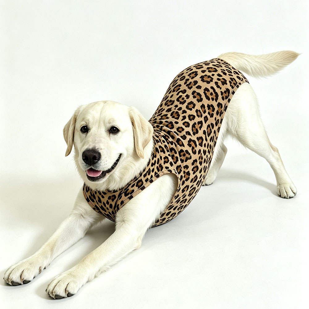 OEM+ODM Pet menstrual panty for post-surgery recovery is used for situations such as sterilization and incontinence.