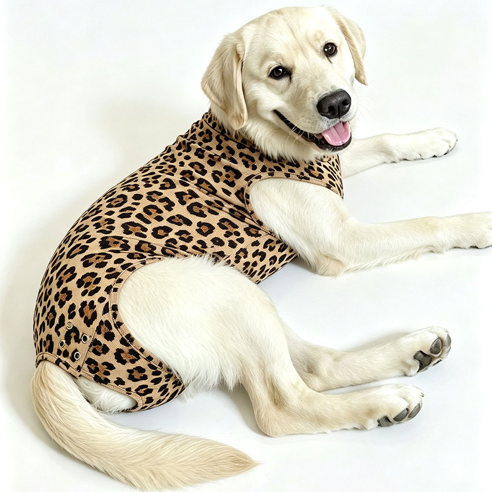 OEM+ODM Pet menstrual panty for post-surgery recovery is used for situations such as sterilization and incontinence.